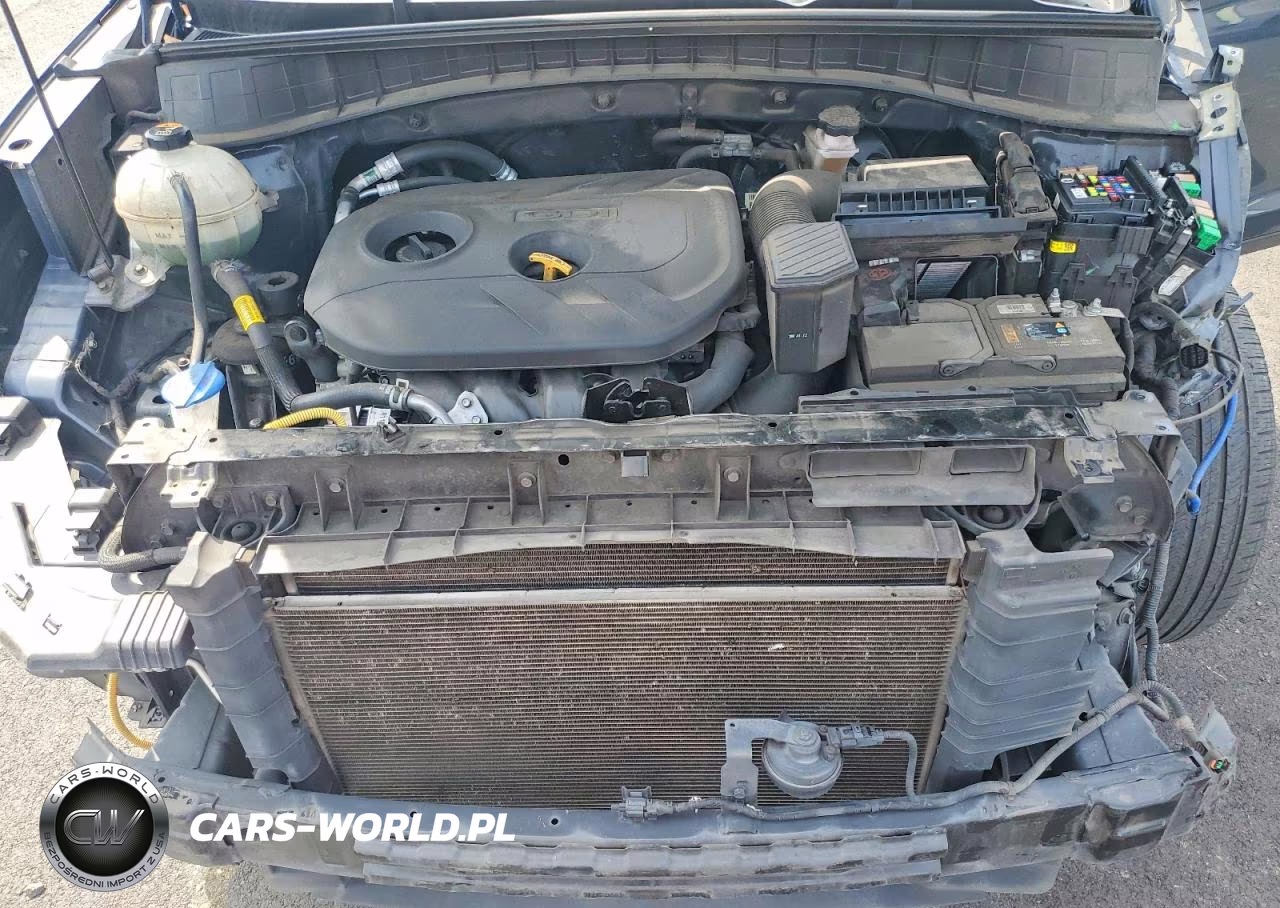 2019 Hyundai Tucson Se VIN:KM8J2CA41KU955091 - 11