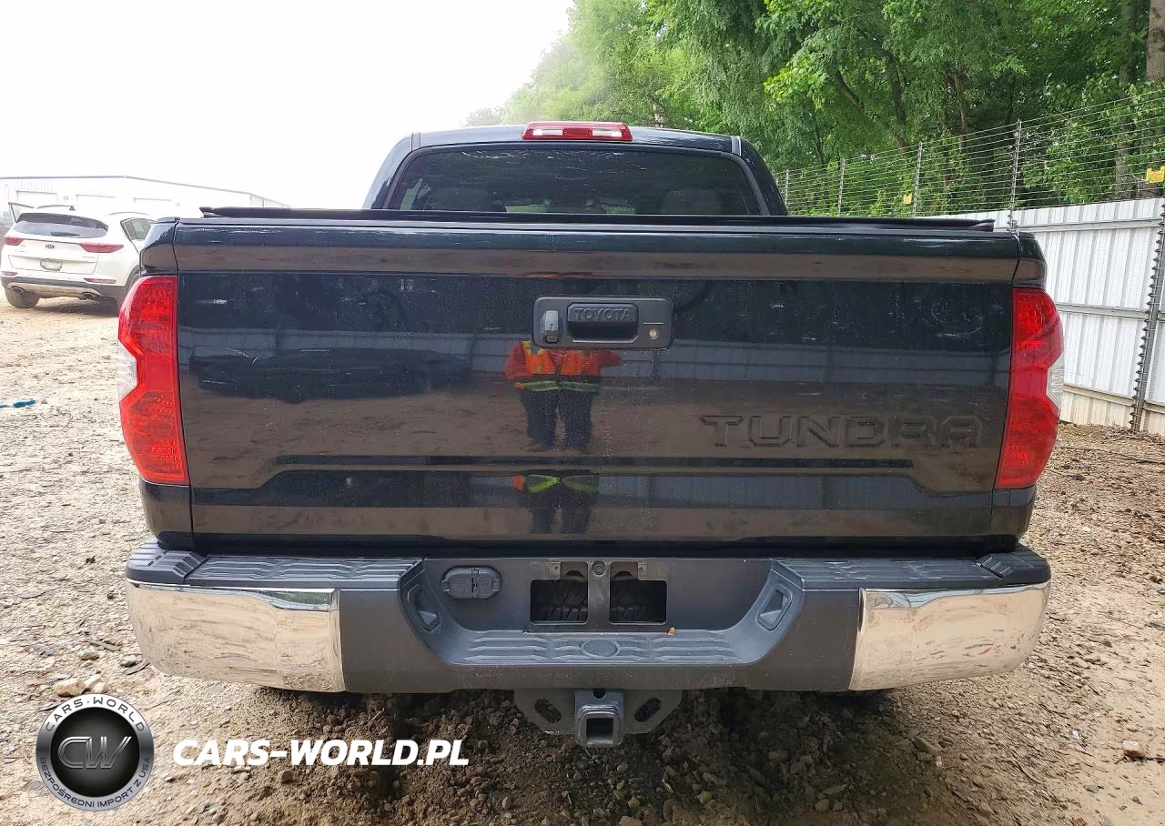 2019 Toyota Tundra Crewmax Limited VIN:5TFHY5F17KX818330 - 6