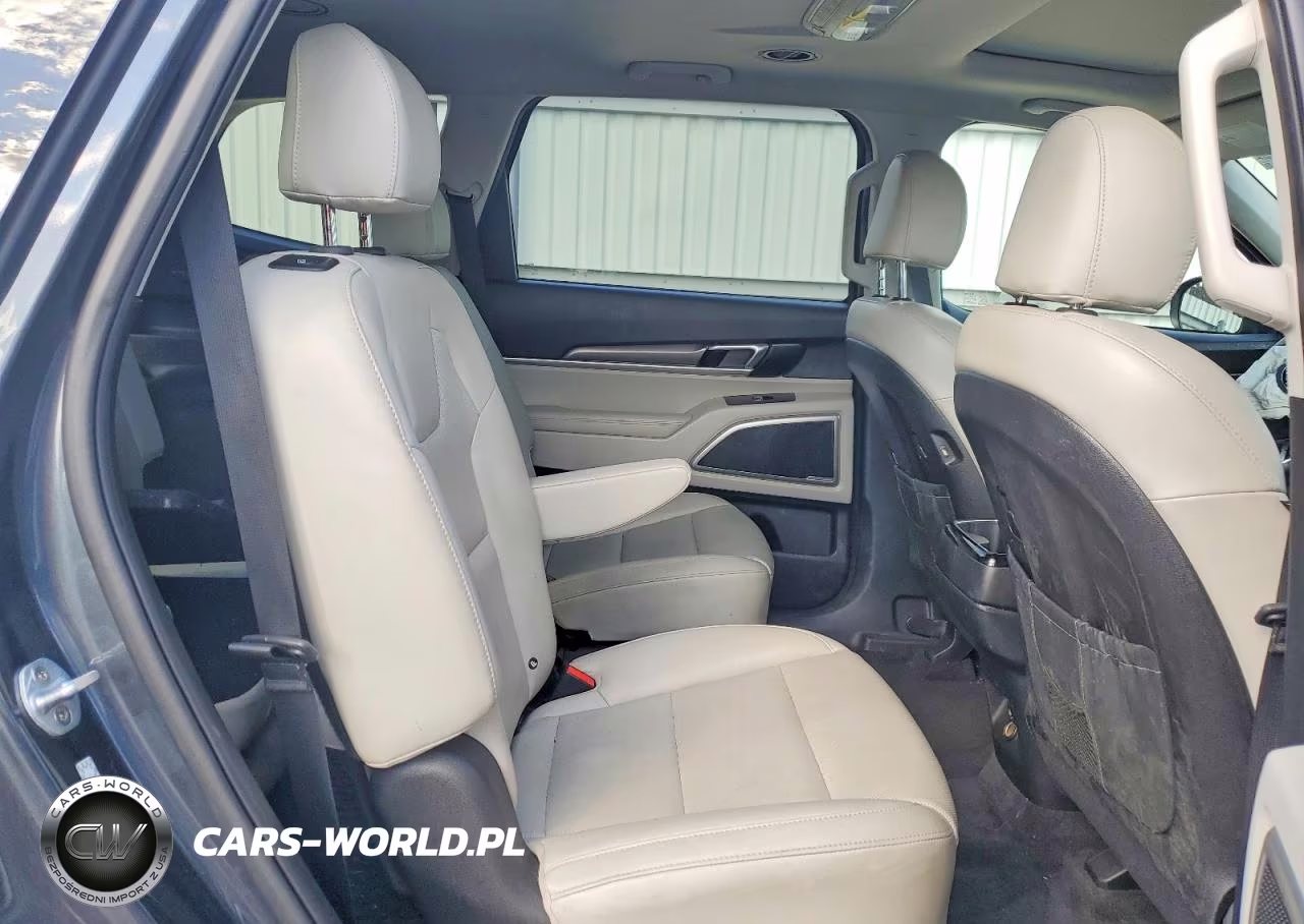2020 Kia Telluride S VIN:5XYP6DHC1LG035759 - 11