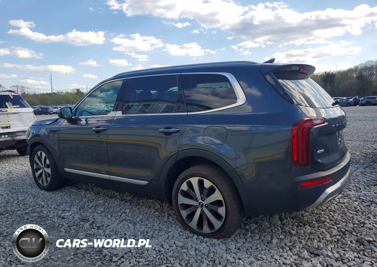 2020 Kia Telluride S VIN:5XYP6DHC1LG035759 - 2