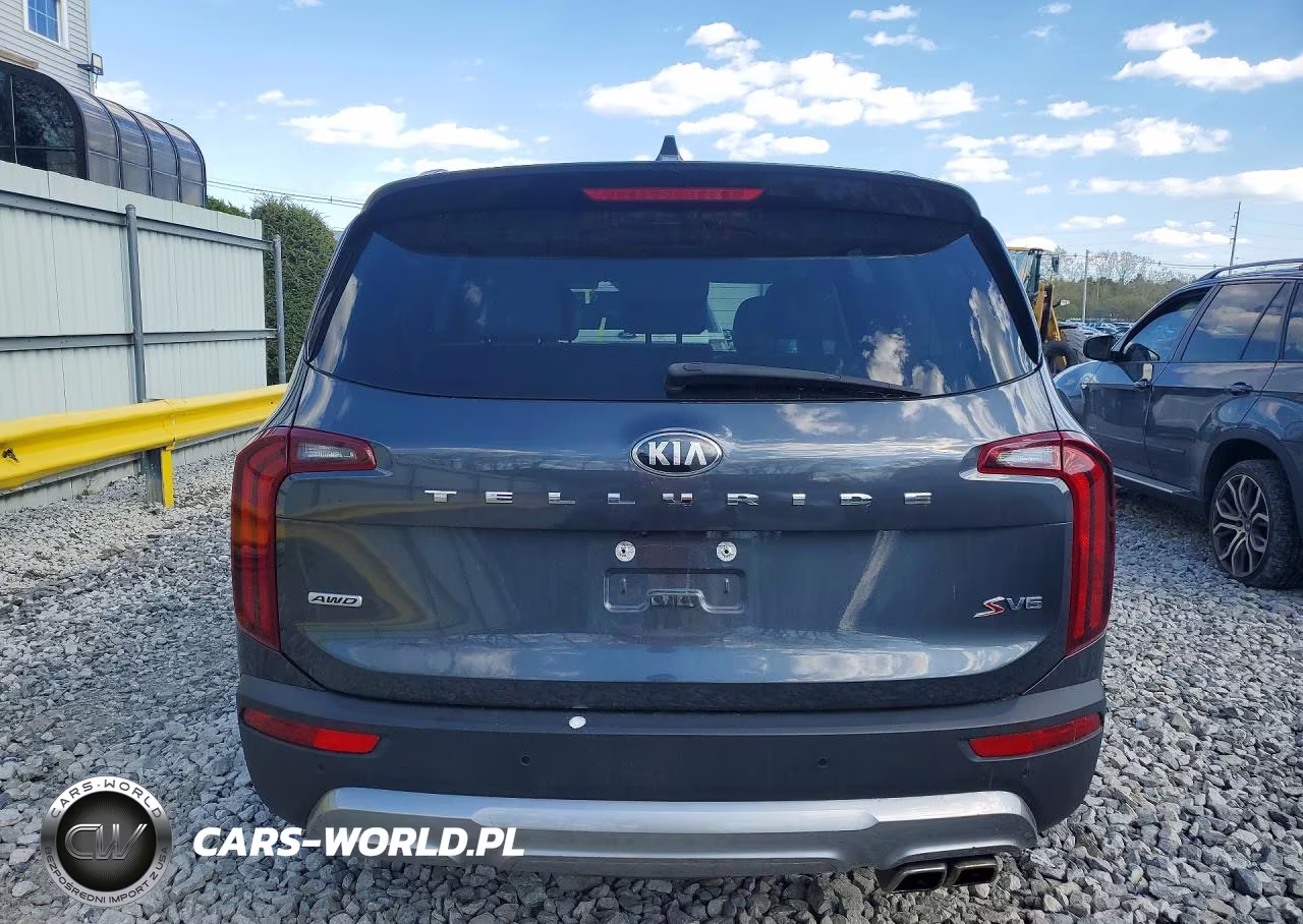 2020 Kia Telluride S VIN:5XYP6DHC1LG035759 - 6