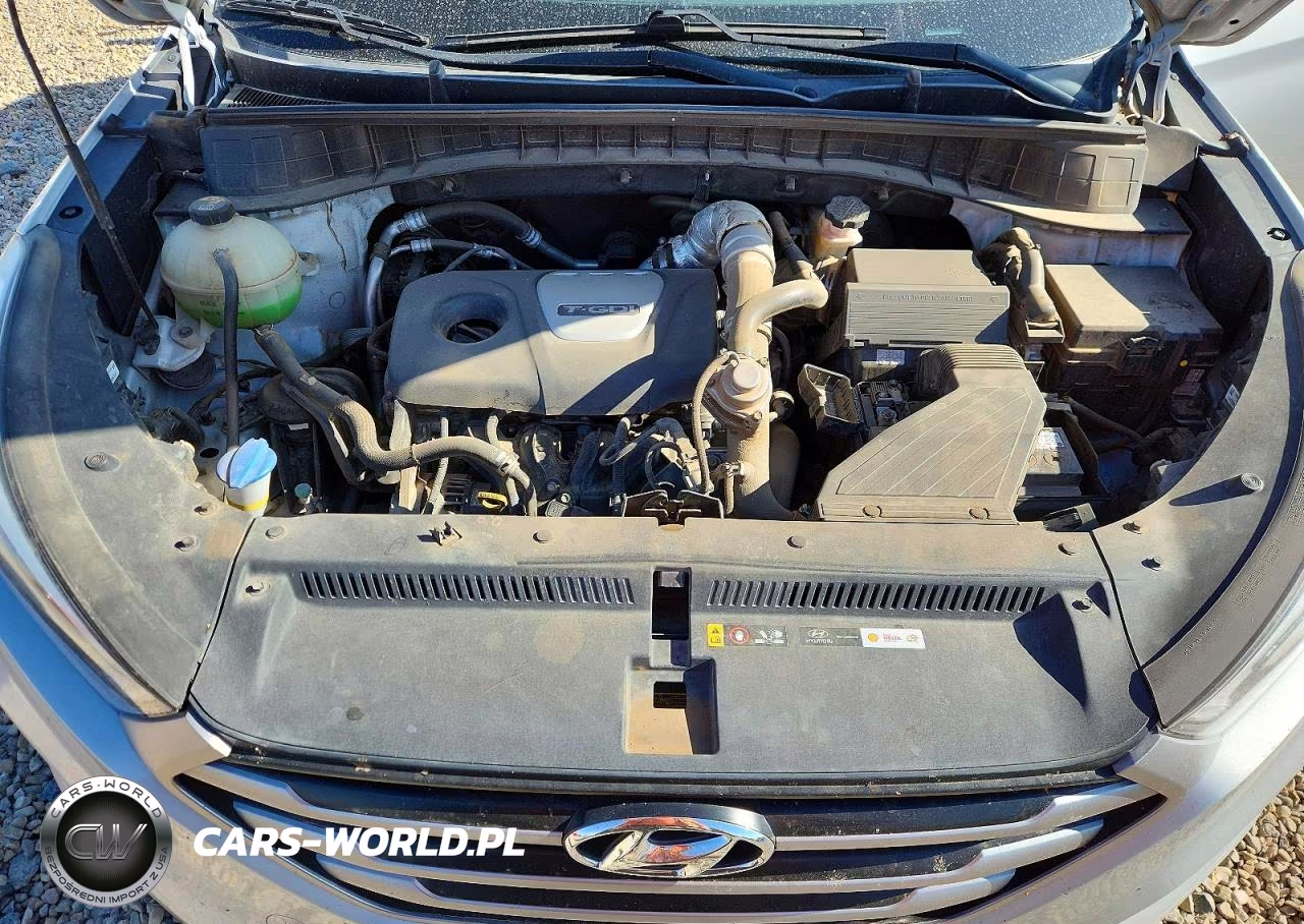 2017 Hyundai Tucson Eco VIN:KM8J33A21HU302491 - 12