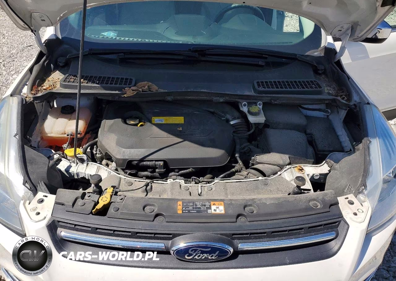 2015 Ford Escape Se VIN:1FMCU0GX9FUC58809 - 12