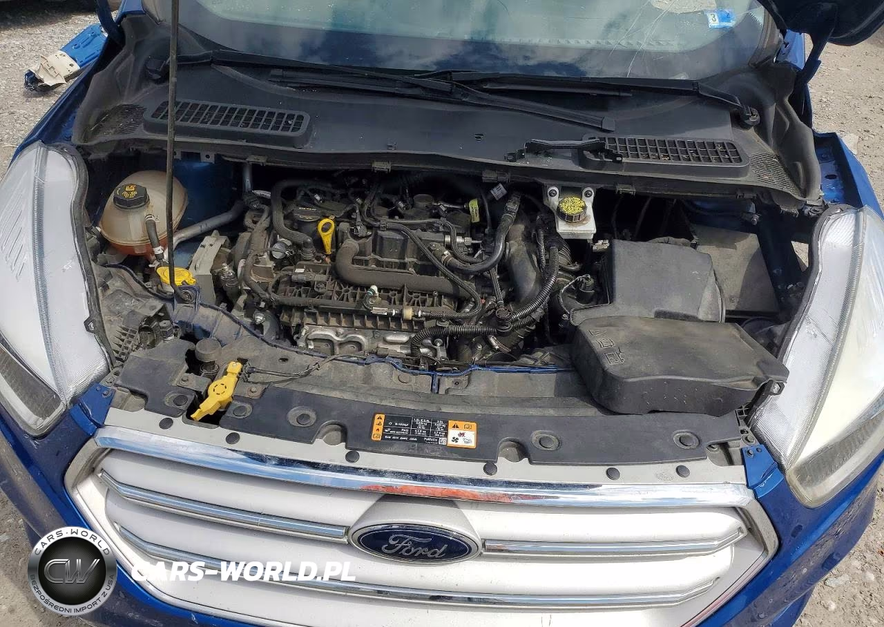 2019 Ford Escape Se VIN:1FMCU9GD6KUA85271 - 12