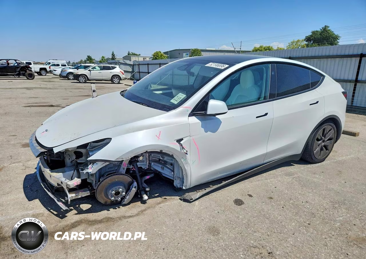 2025 Tesla Model Y