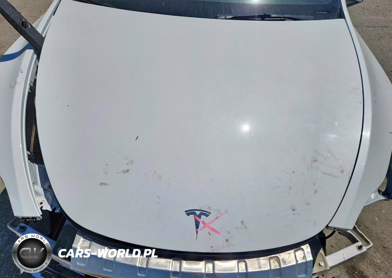 2025 Tesla Model Y VIN:7SAYGDED0SF228833 - 11