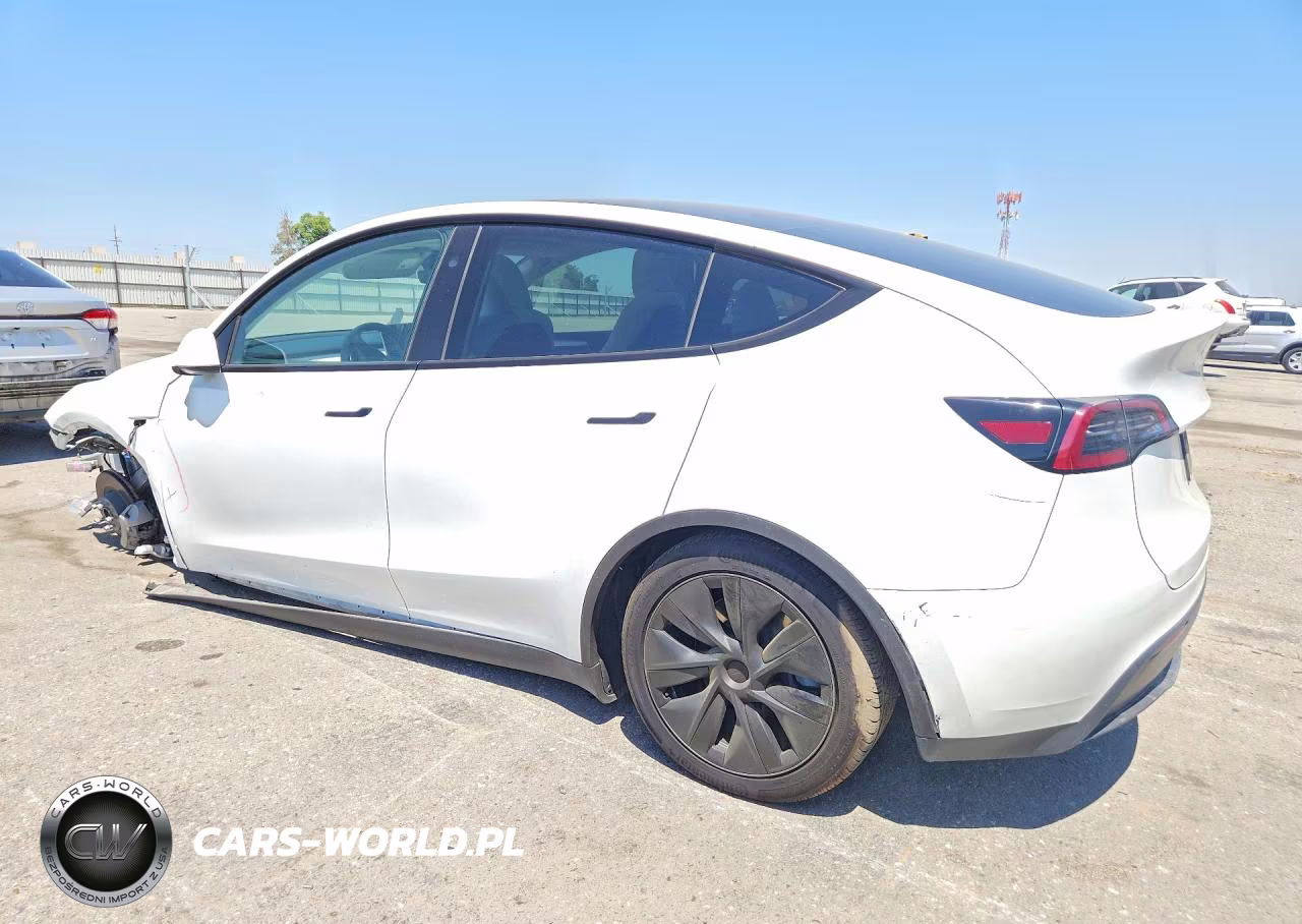 2025 Tesla Model Y VIN:7SAYGDED0SF228833 - 2