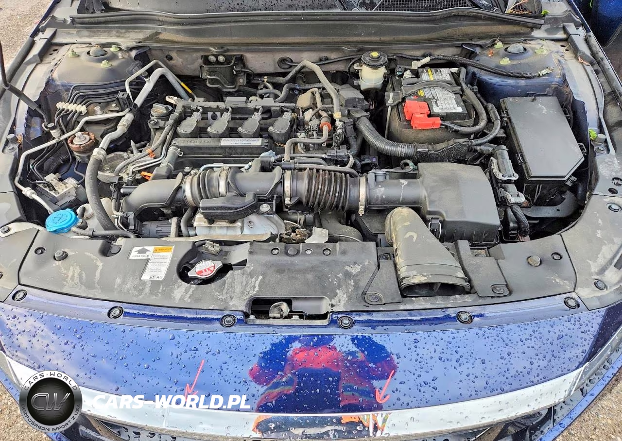 2019 Honda Accord Lx VIN:1HGCV1F10KA150970 - 11
