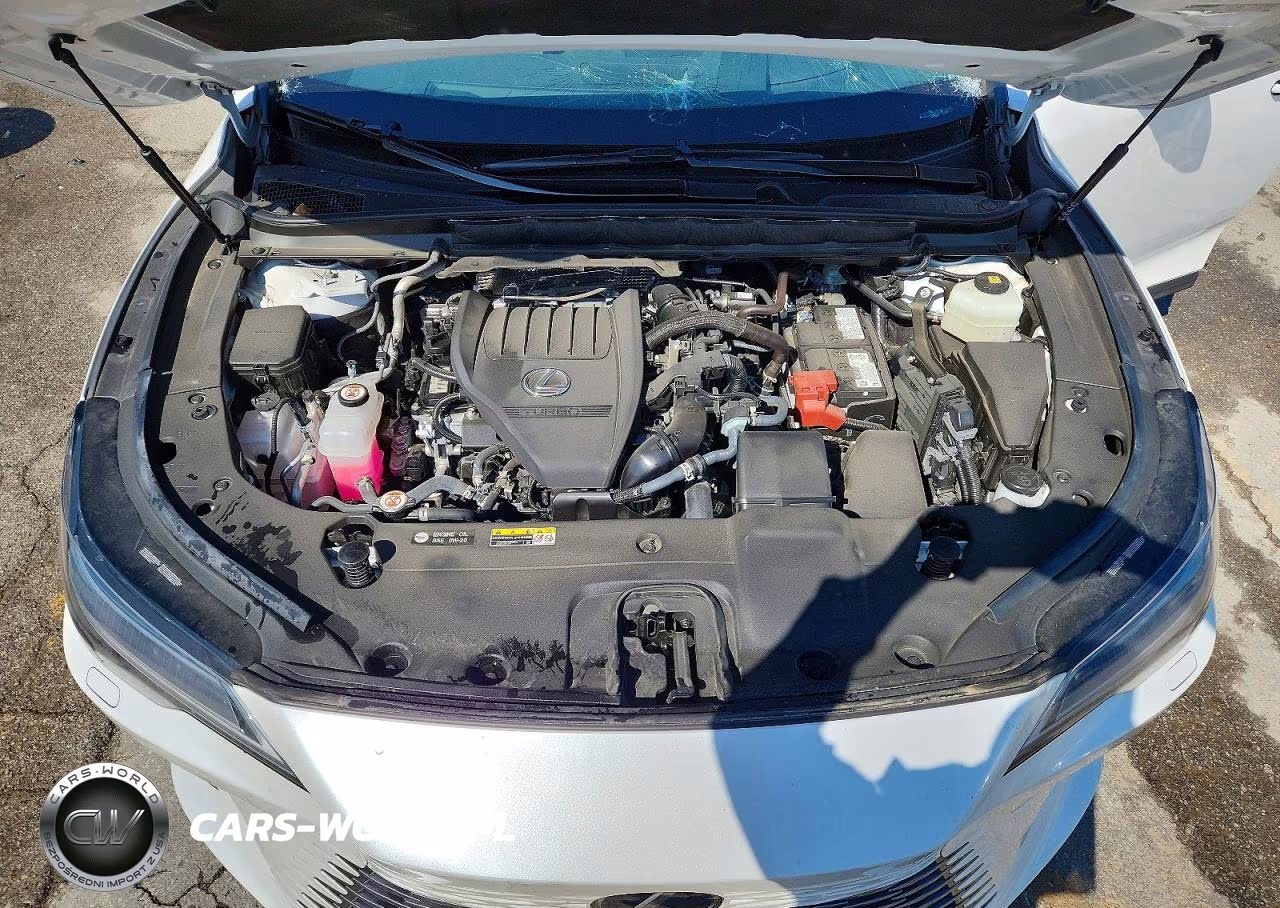 2024 Lexus Rx 350 Luxury VIN:2T2BAMCA6RC079920 - 11