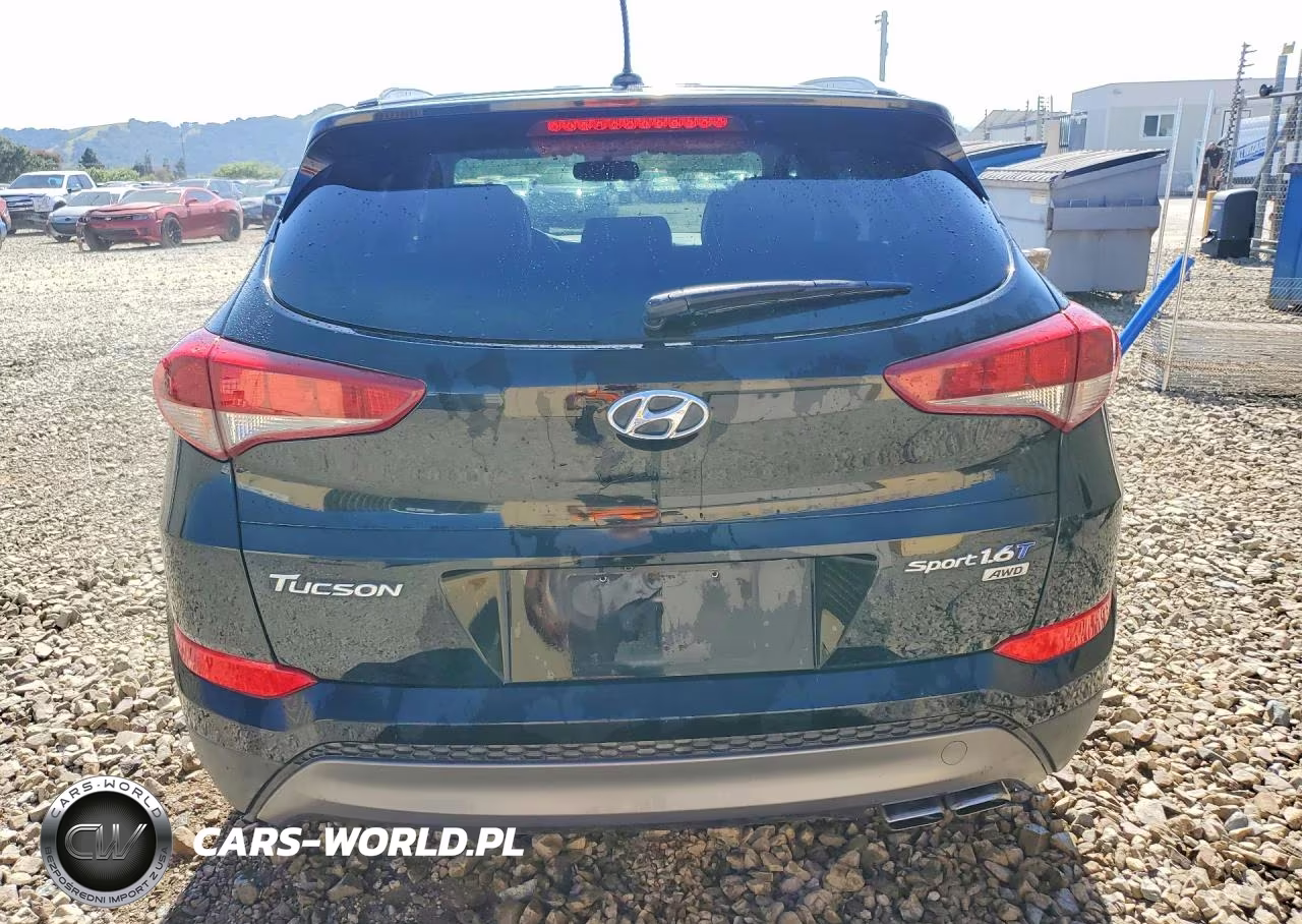 2016 Hyundai Tucson Sport VIN:KM8J3CA21GU268535 - 6