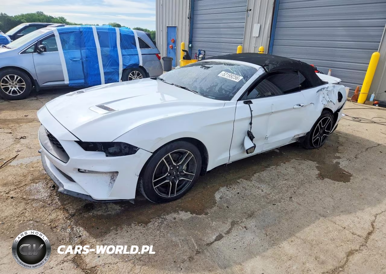 2019 Ford Mustang