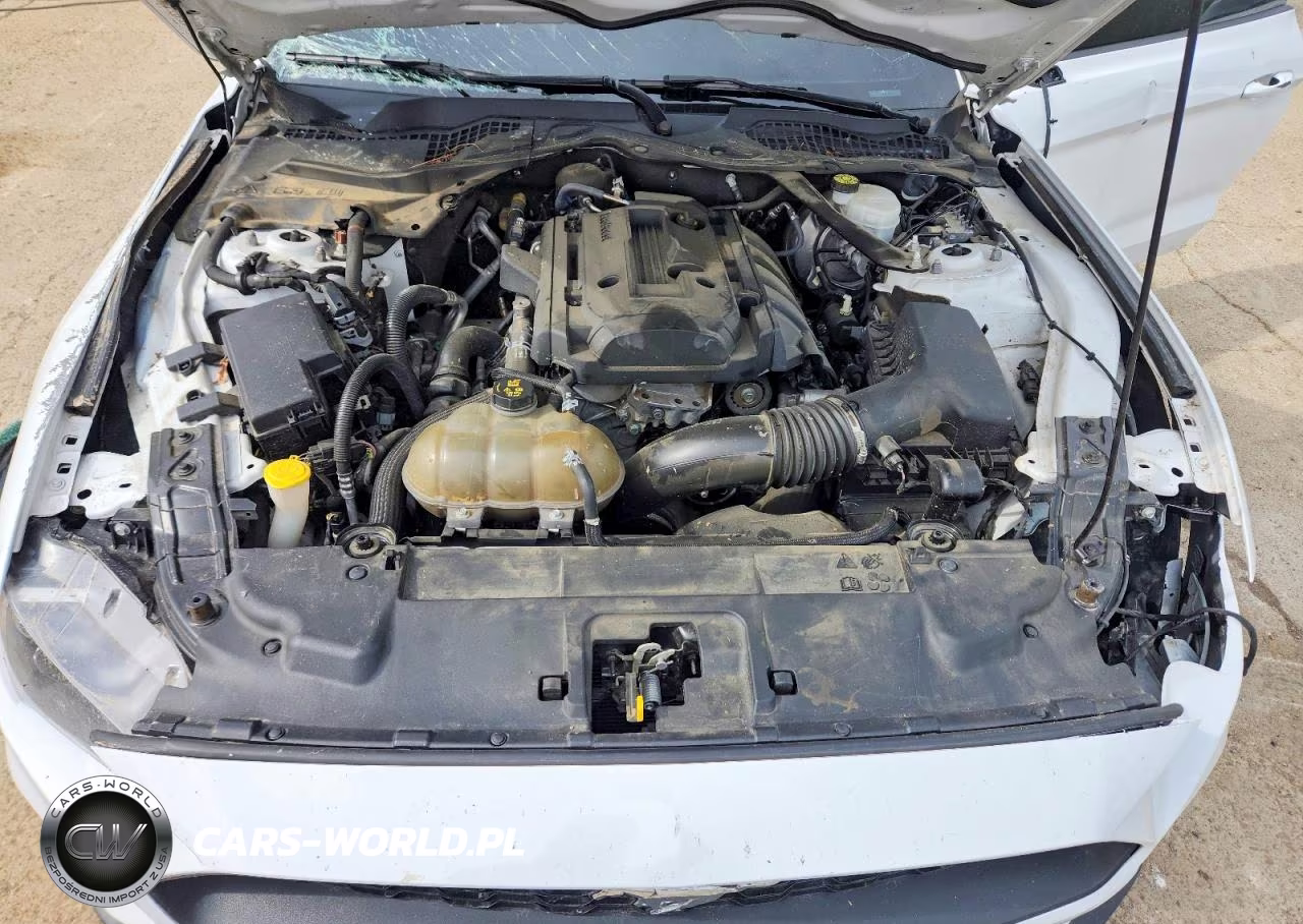 2019 Ford Mustang VIN:1FATP8UH4K5104378 - 11