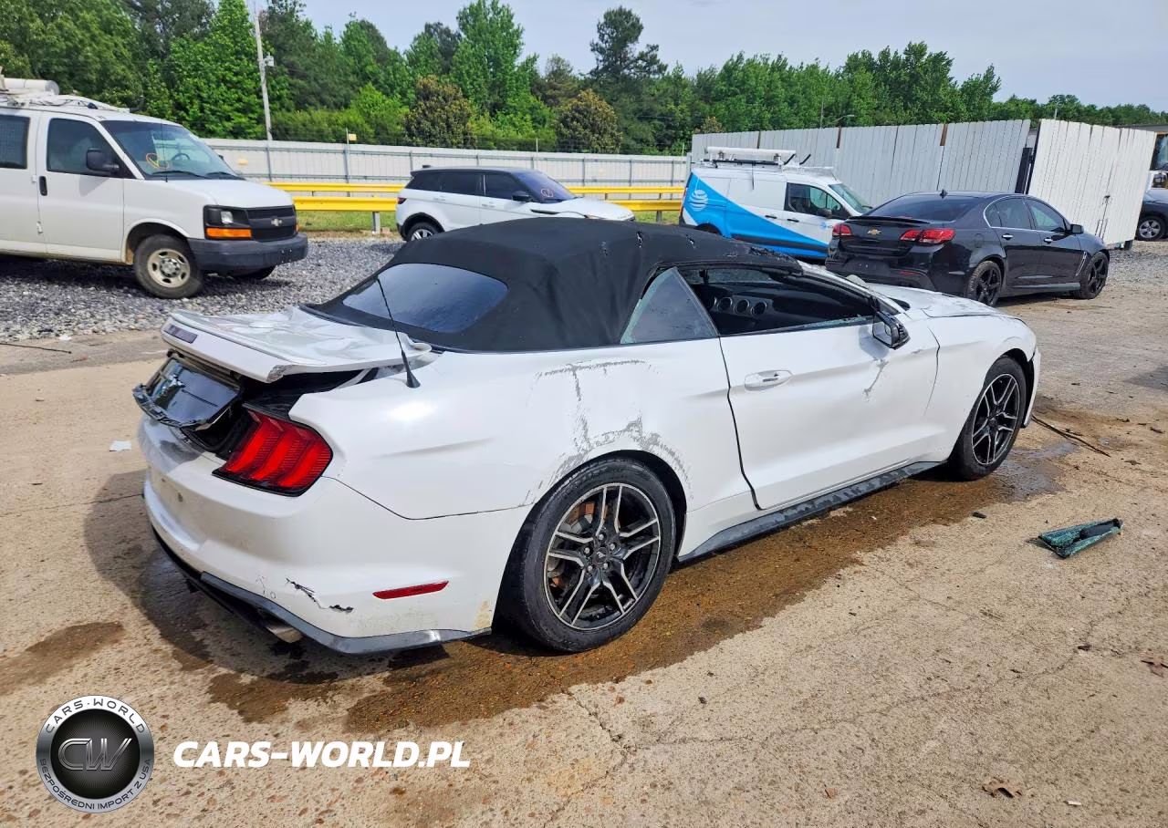 2019 Ford Mustang VIN:1FATP8UH4K5104378 - 3
