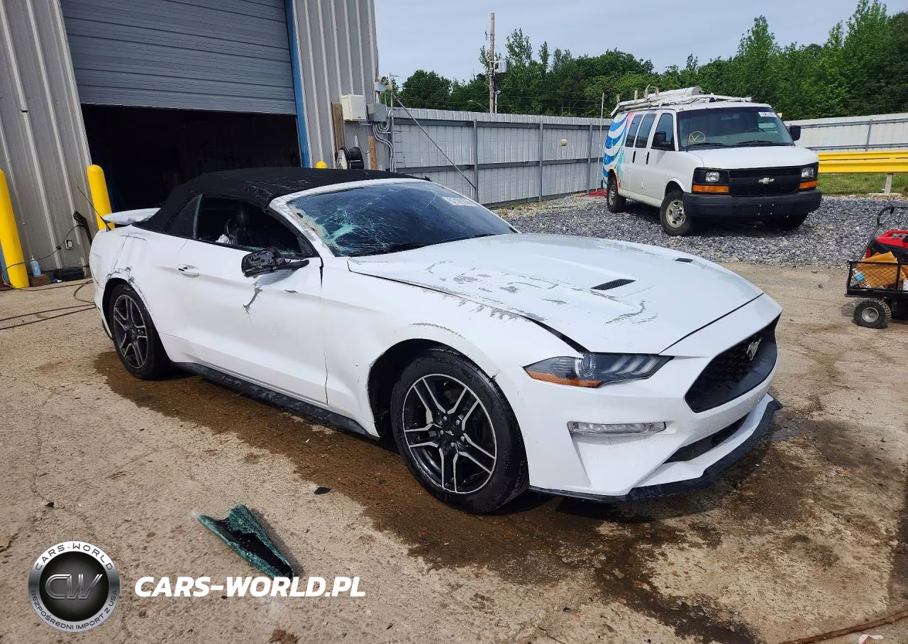 2019 Ford Mustang VIN:1FATP8UH4K5104378 - 4