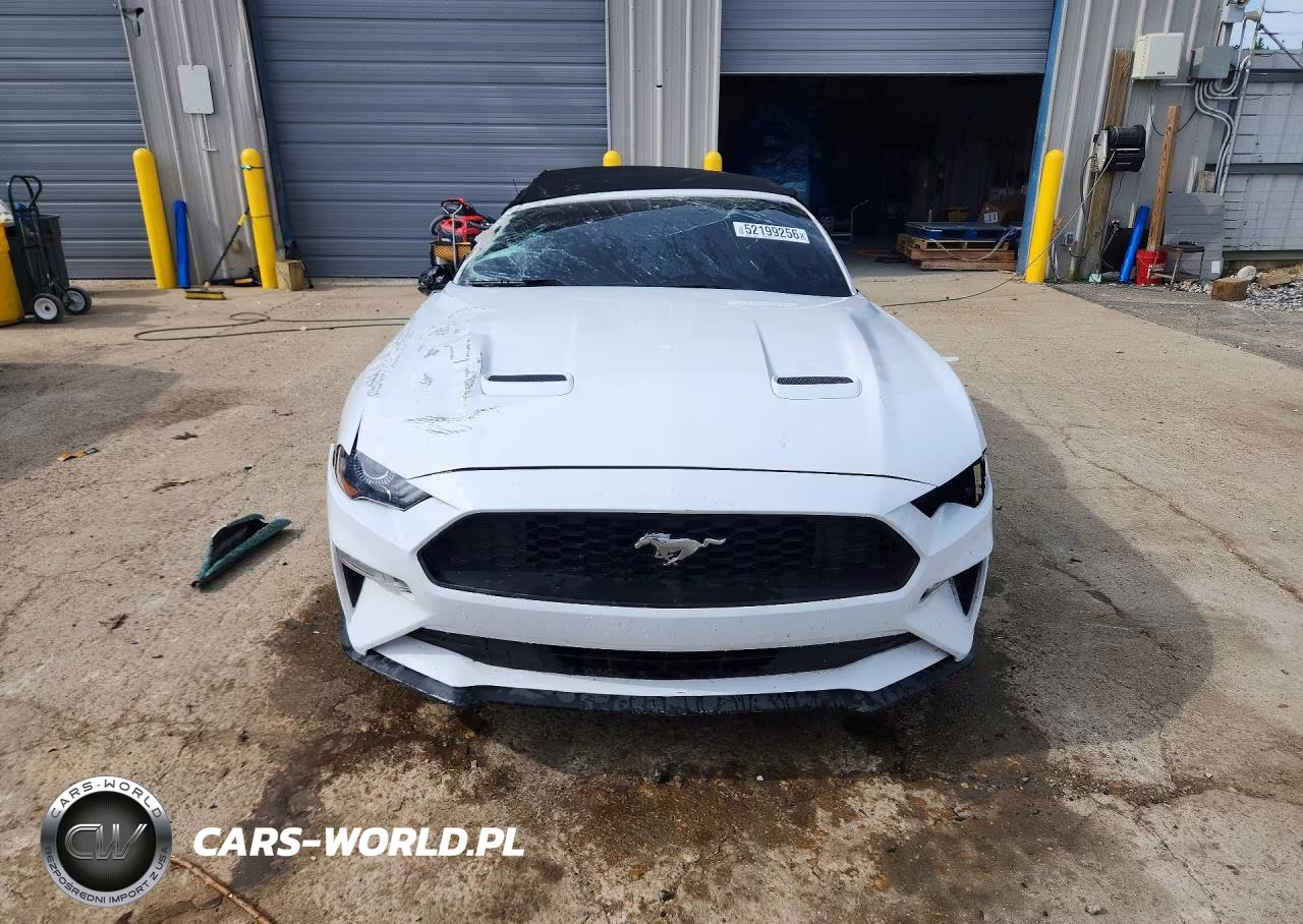 2019 Ford Mustang VIN:1FATP8UH4K5104378 - 5