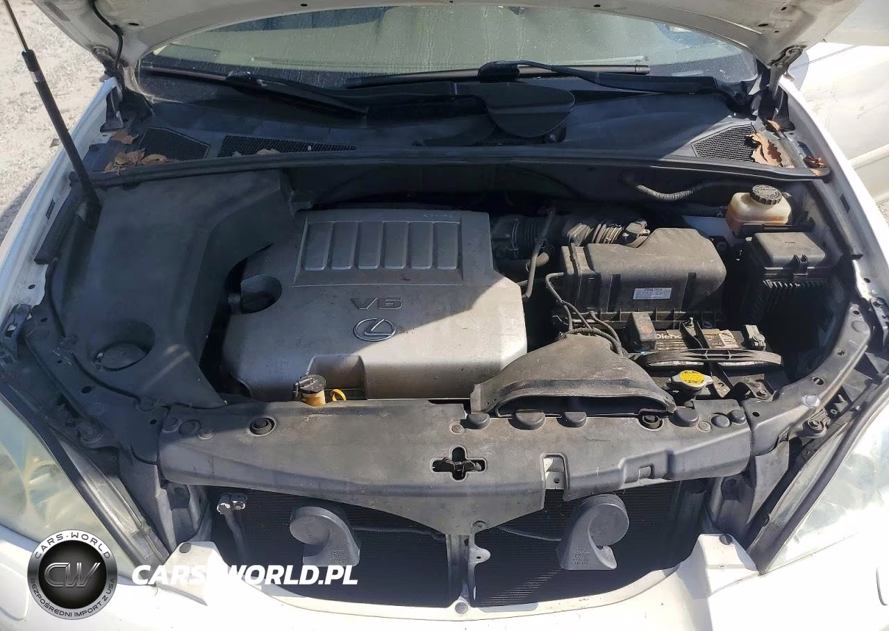 2007 Lexus Rx 350 VIN:JTJGK31U670006534 - 12