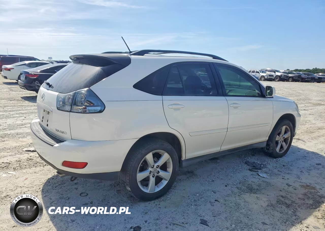 2007 Lexus Rx 350 VIN:JTJGK31U670006534 - 3