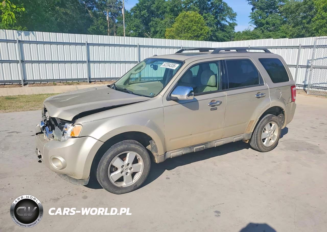 2010 Ford Escape Xlt