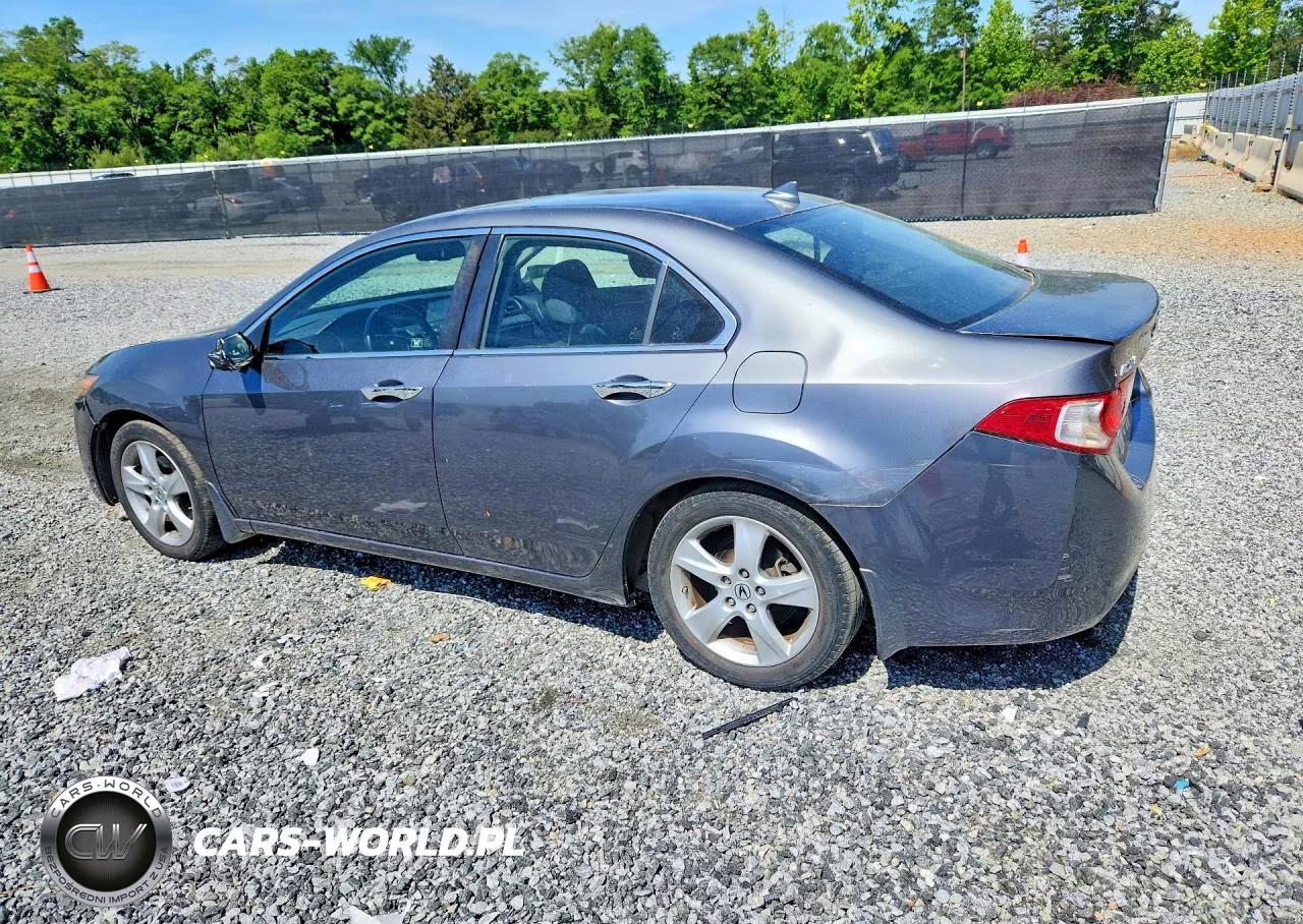 2010 Acura Tsx VIN:JH4CU2F63AC030004 - 2
