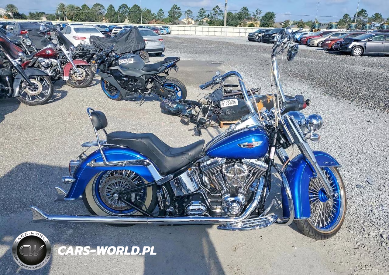 2009 Harley-Davidson Flstn