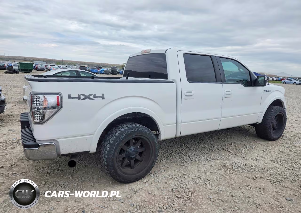 2009 Ford F150 Supercrew VIN:1FTPW14V79FB35673 - 3