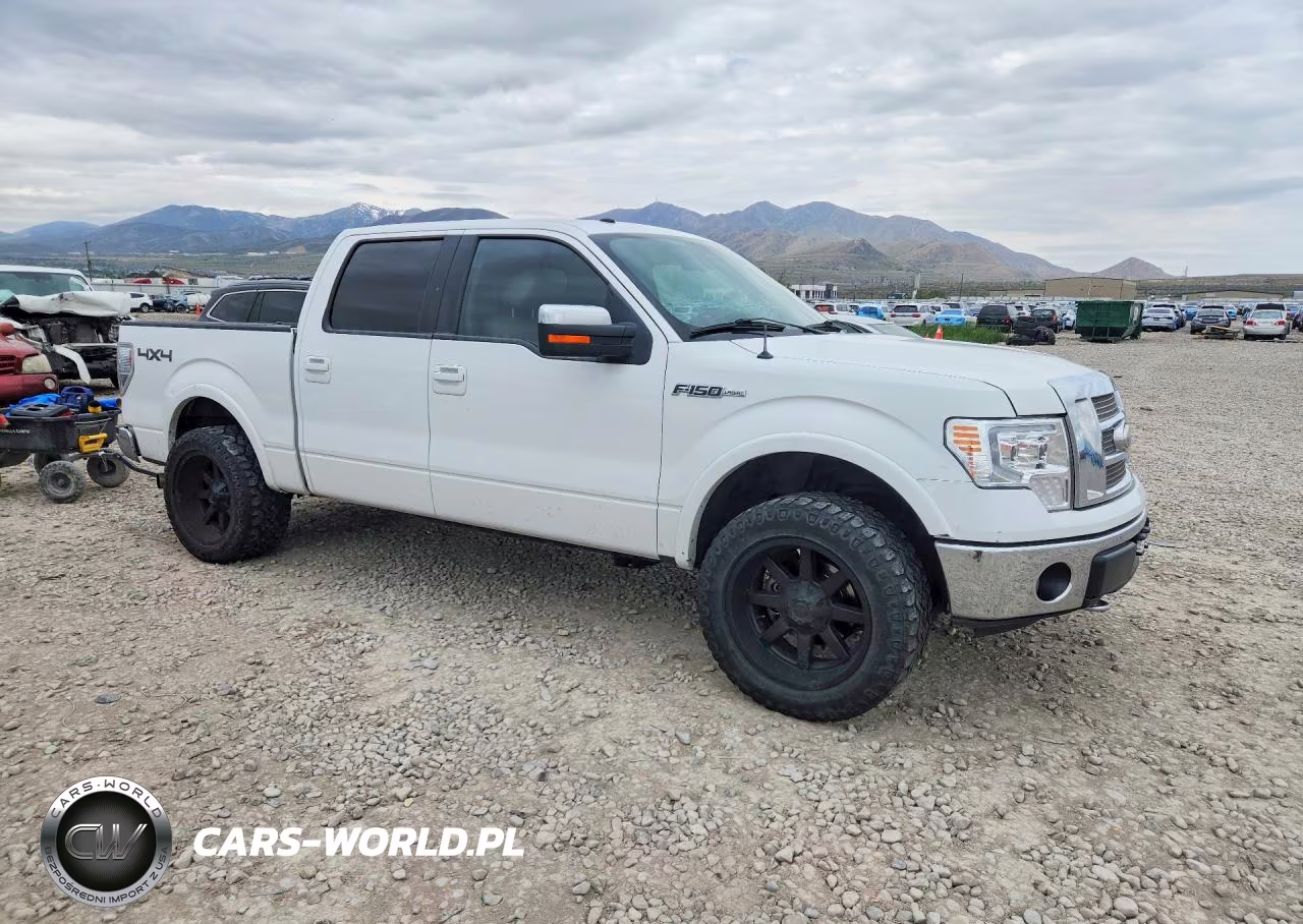 2009 Ford F150 Supercrew VIN:1FTPW14V79FB35673 - 4