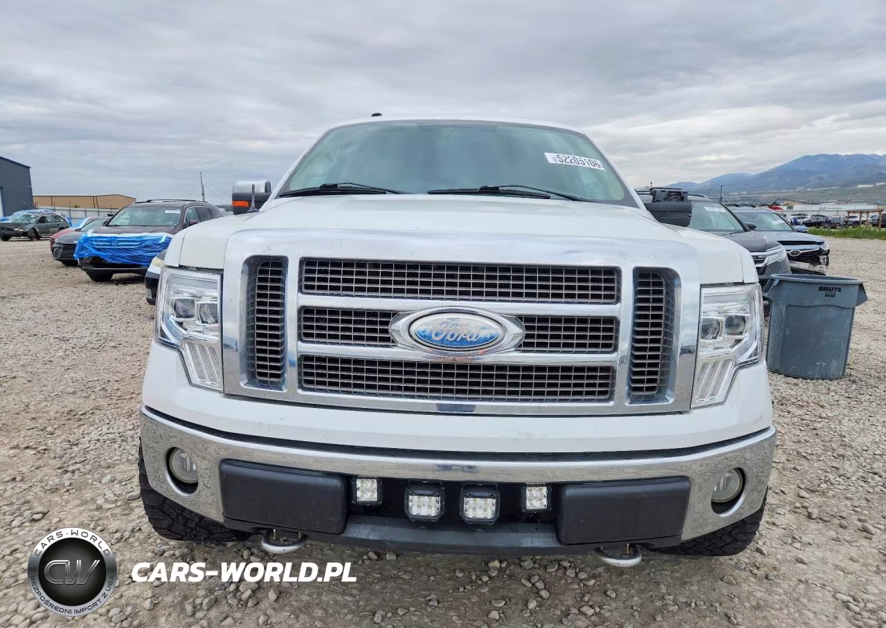 2009 Ford F150 Supercrew VIN:1FTPW14V79FB35673 - 5