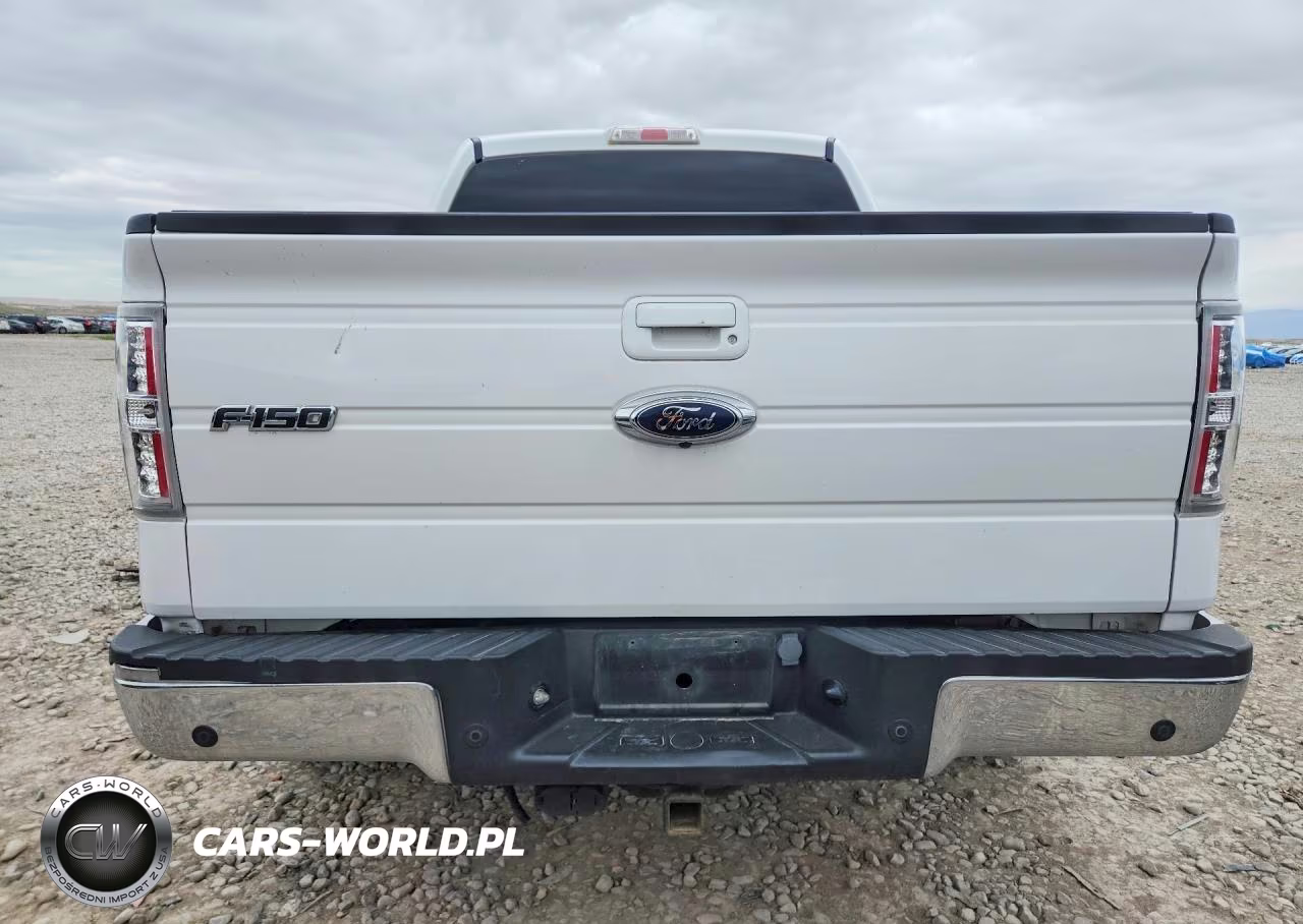 2009 Ford F150 Supercrew VIN:1FTPW14V79FB35673 - 6