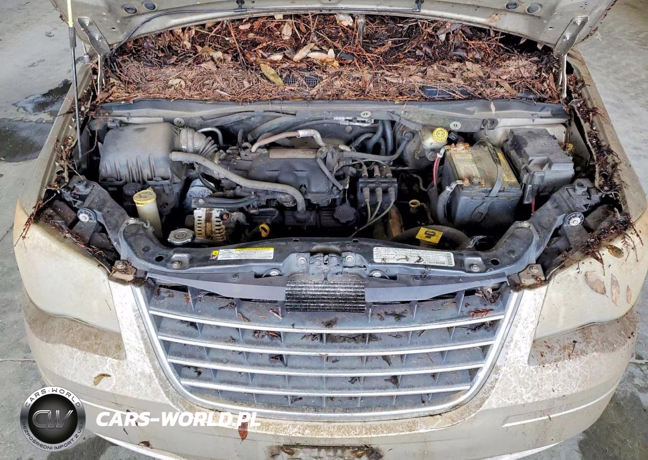 2009 Chrysler Town & Country Lx VIN:2A8HR44E89R656108 - 12