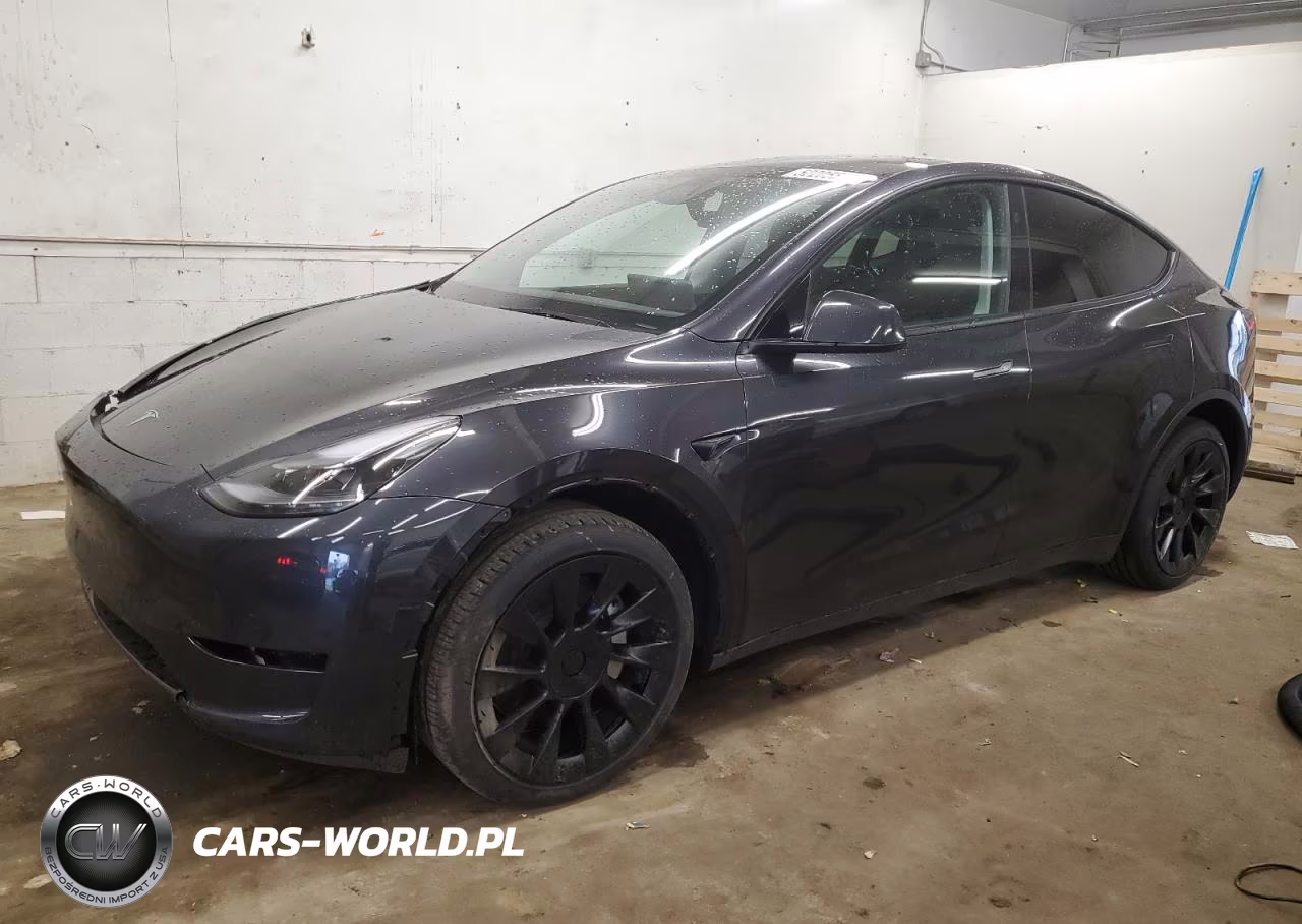 2024 Tesla Model Y