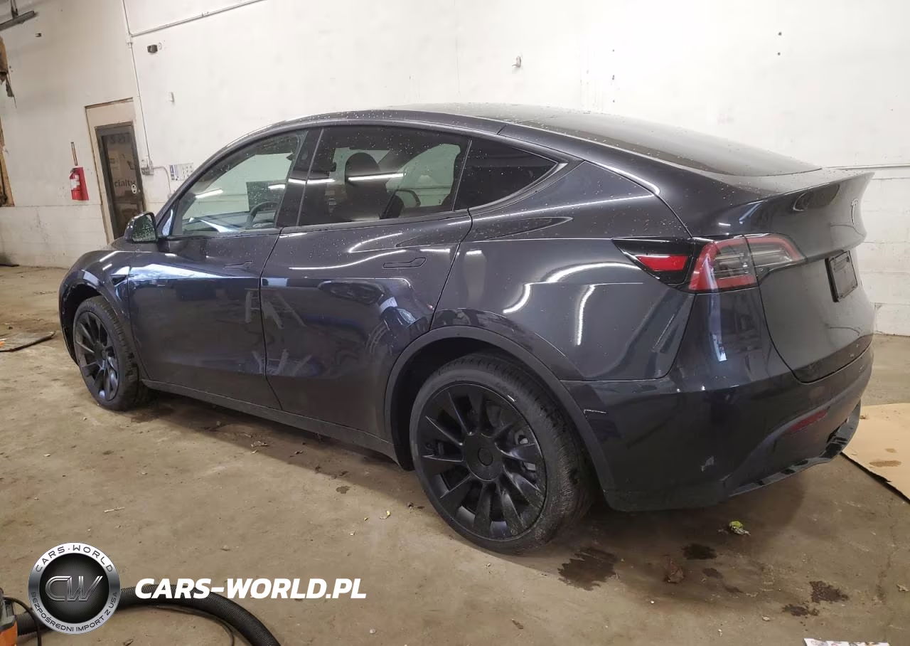 2024 Tesla Model Y VIN:7SAYGDEE8RF176659 - 2