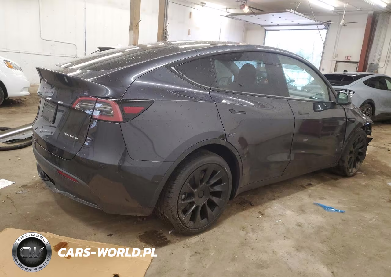 2024 Tesla Model Y VIN:7SAYGDEE8RF176659 - 3