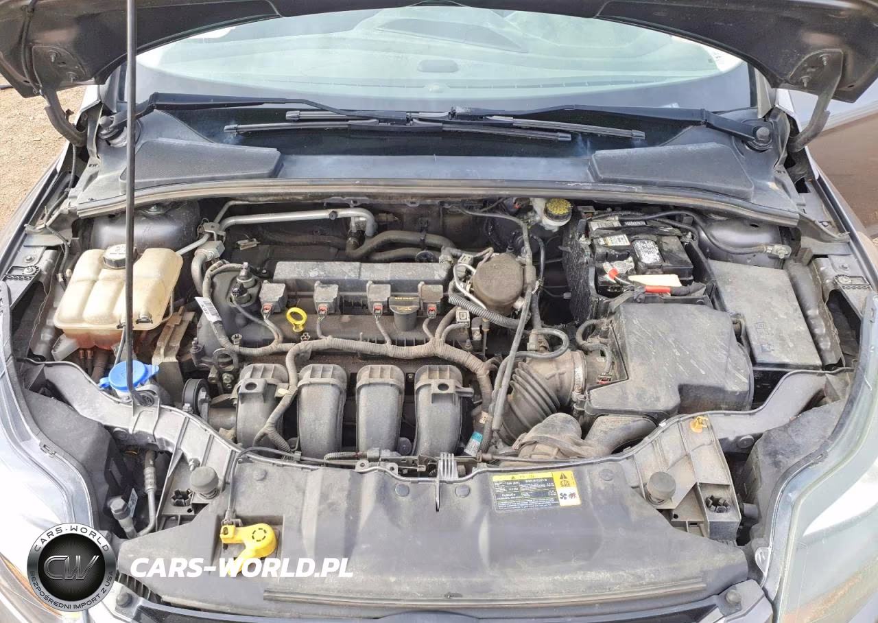 2013 Ford Focus Titanium VIN:1FADP3N24DL161258 - 11