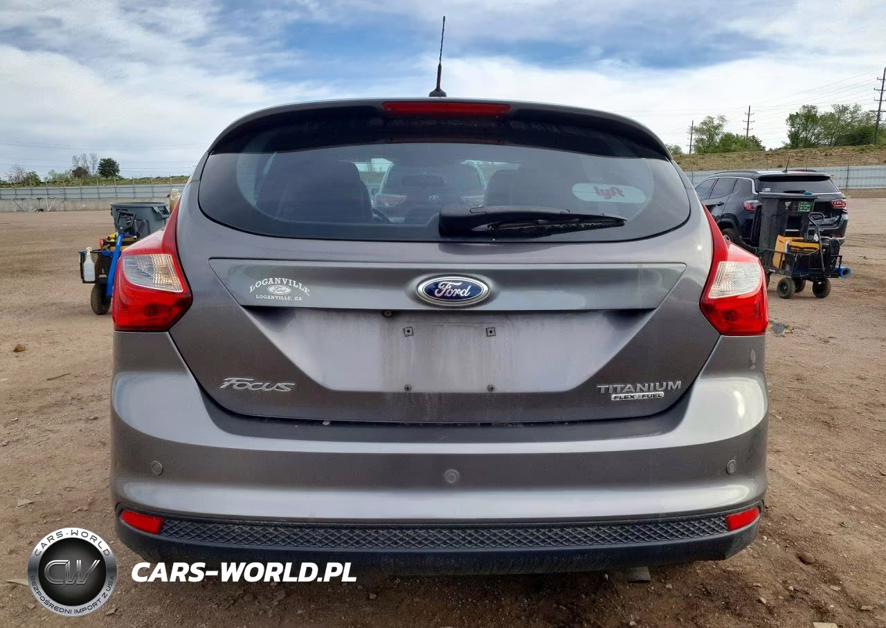 2013 Ford Focus Titanium VIN:1FADP3N24DL161258 - 6