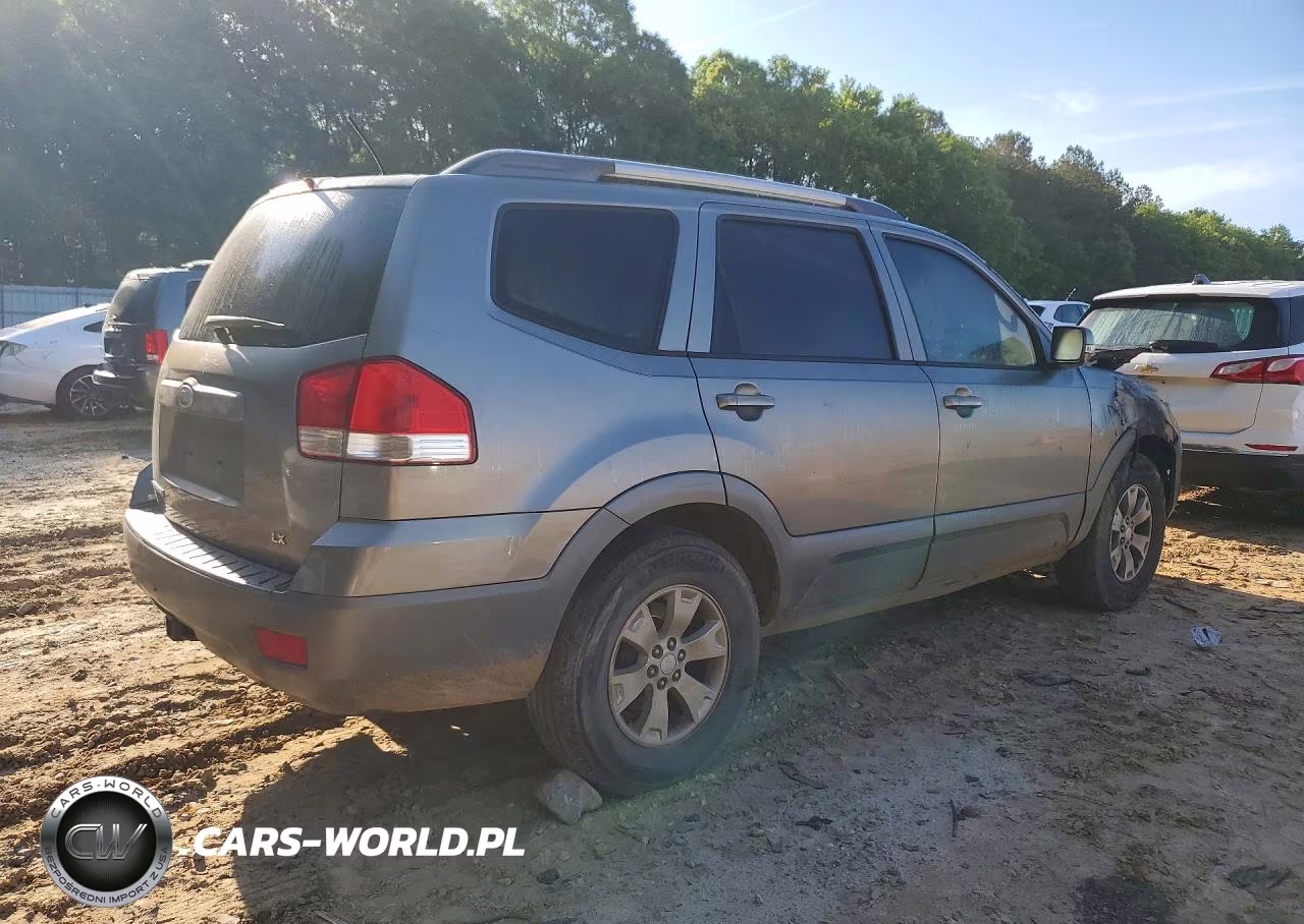 2009 Kia Borrego Lx VIN:KNDJJ741385009061 - 3
