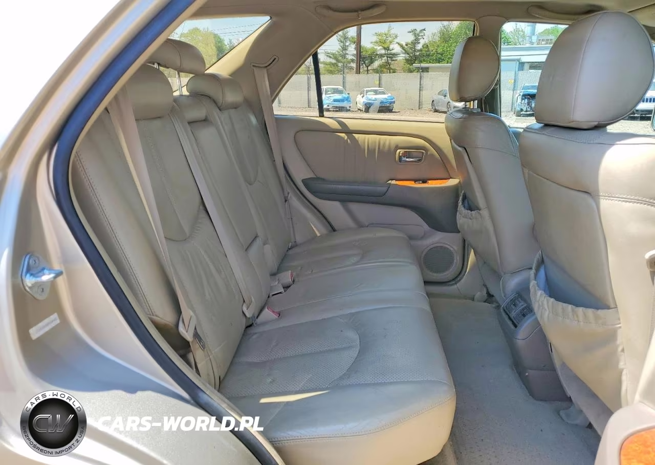2002 Lexus Rx 300 VIN:JTJHF10U920286683 - 11