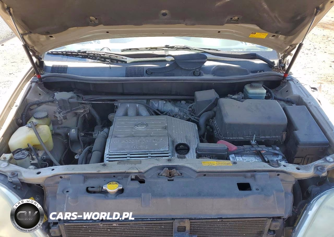 2002 Lexus Rx 300 VIN:JTJHF10U920286683 - 12