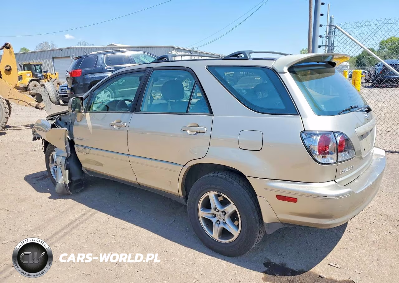 2002 Lexus Rx 300 VIN:JTJHF10U920286683 - 2
