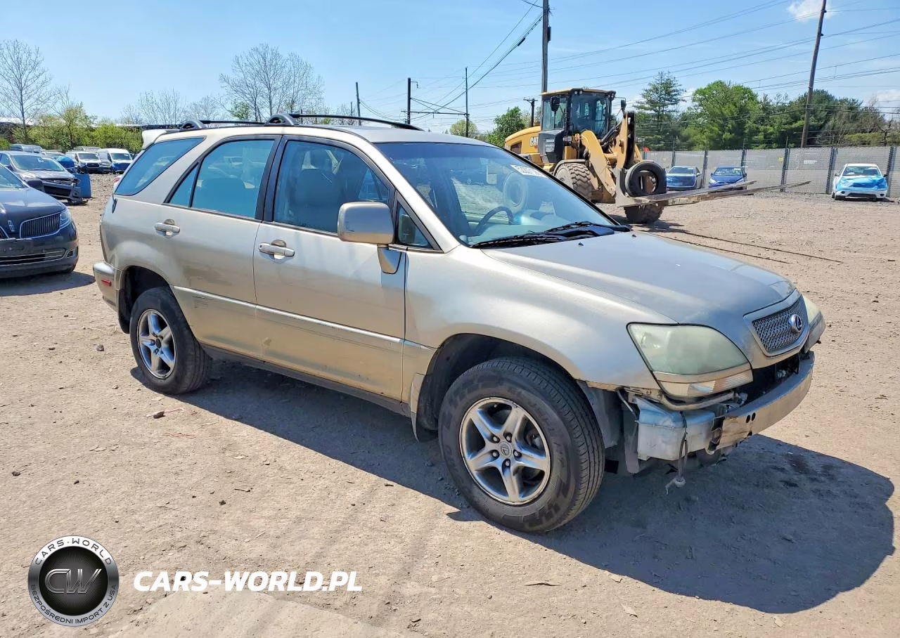 2002 Lexus Rx 300 VIN:JTJHF10U920286683 - 4