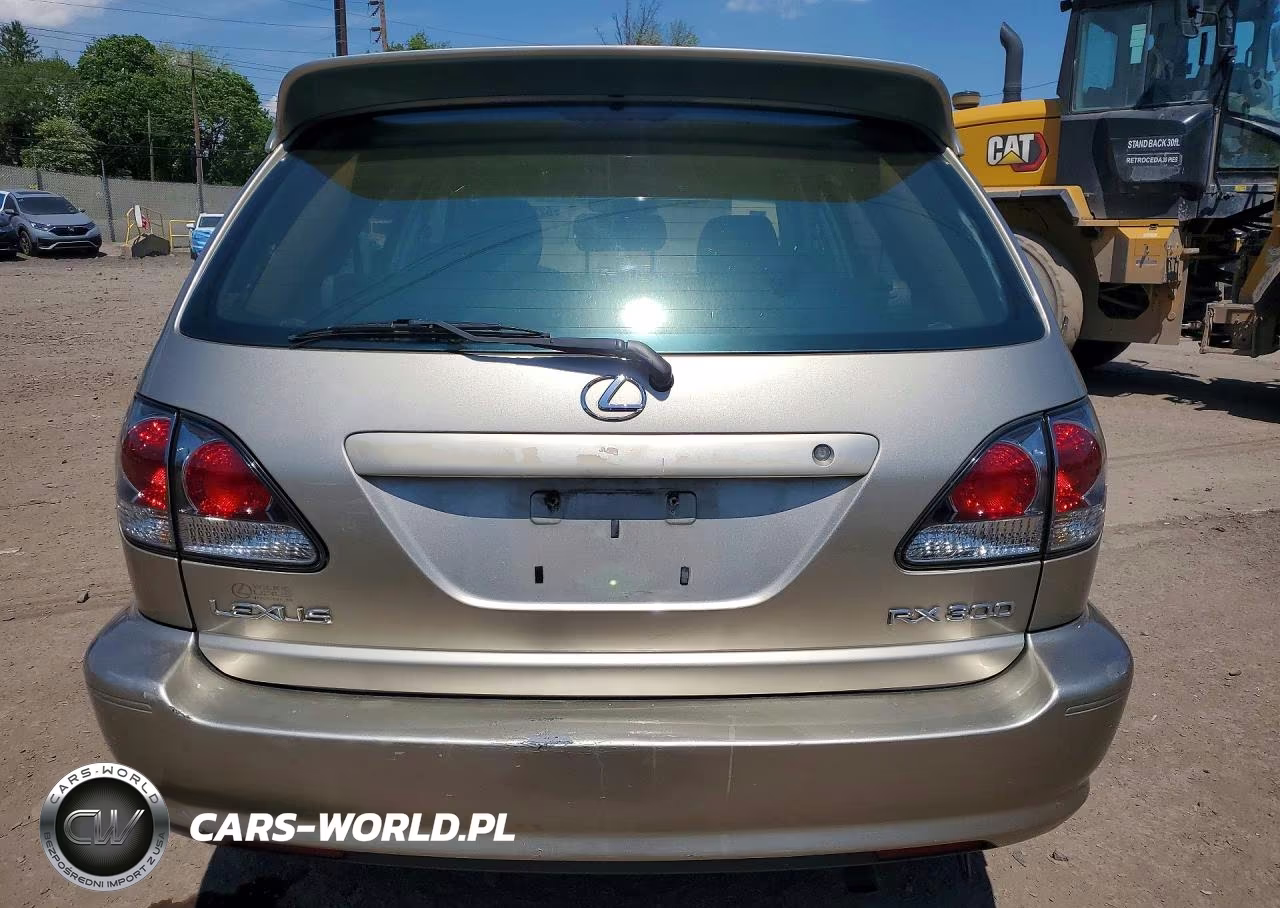 2002 Lexus Rx 300 VIN:JTJHF10U920286683 - 6