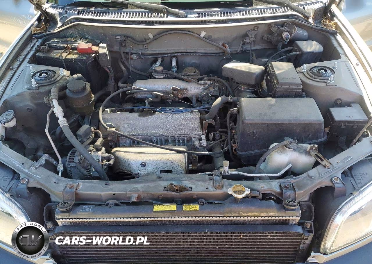 1999 Toyota Rav4 VIN:JT3HP10V0X7135212 - 12