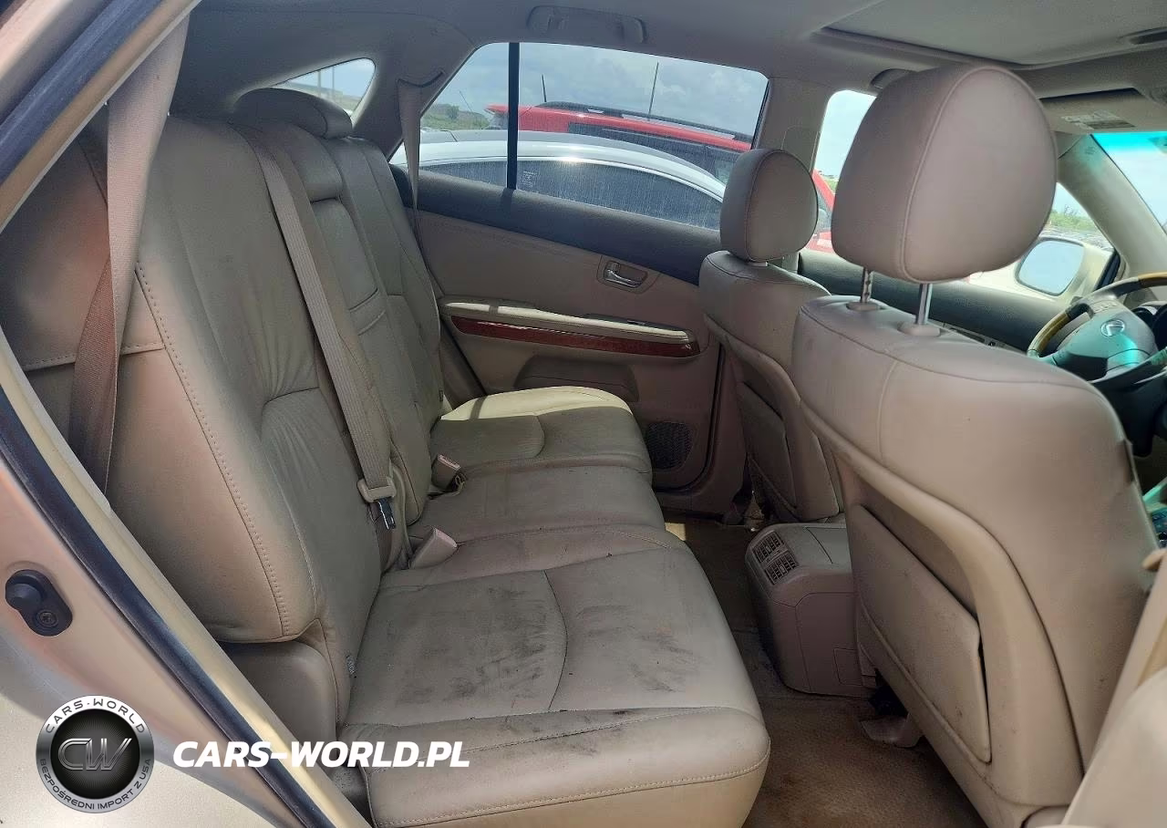 2004 Lexus Rx 330 VIN:JTJGA31U440016641 - 10