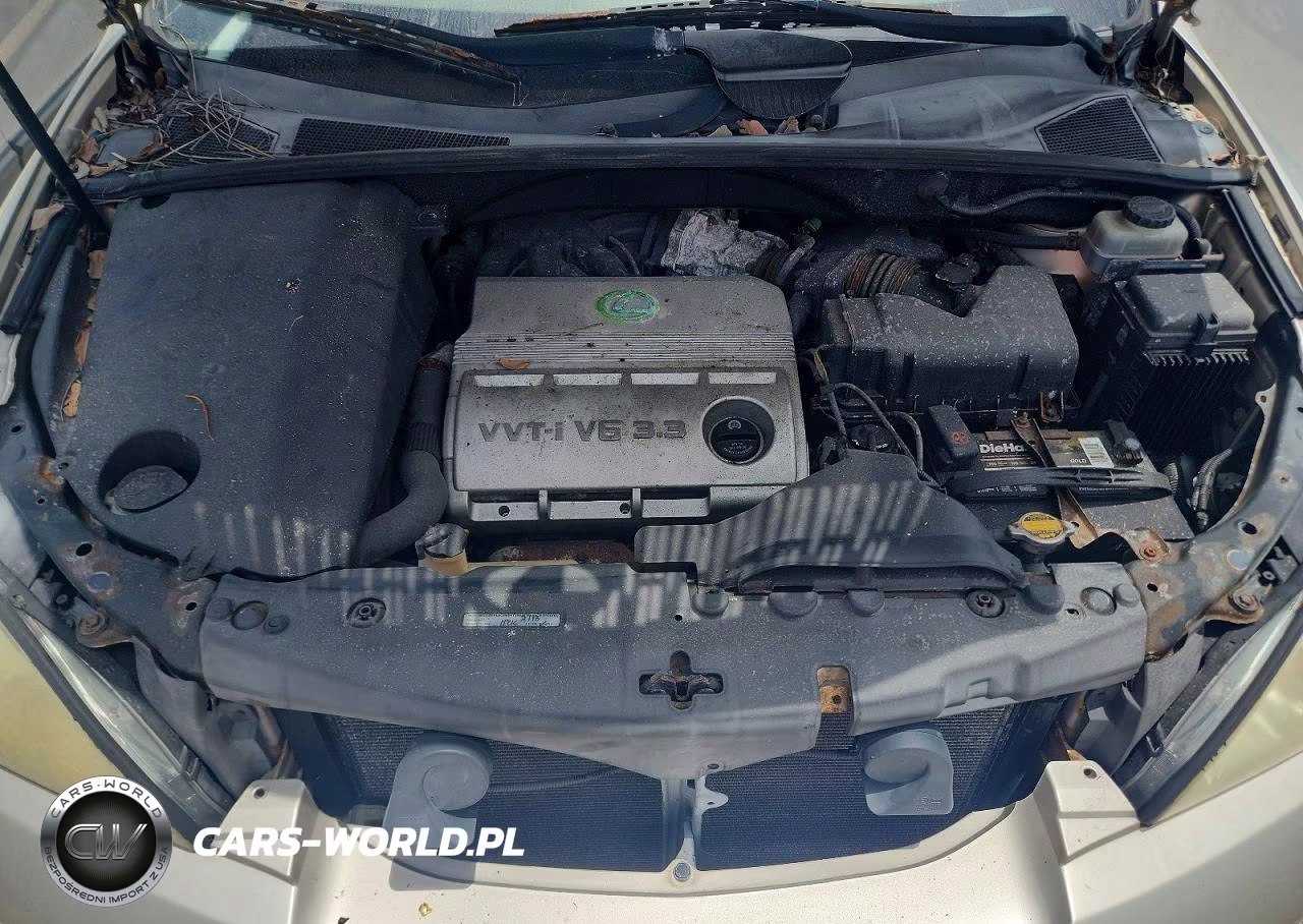 2004 Lexus Rx 330 VIN:JTJGA31U440016641 - 11
