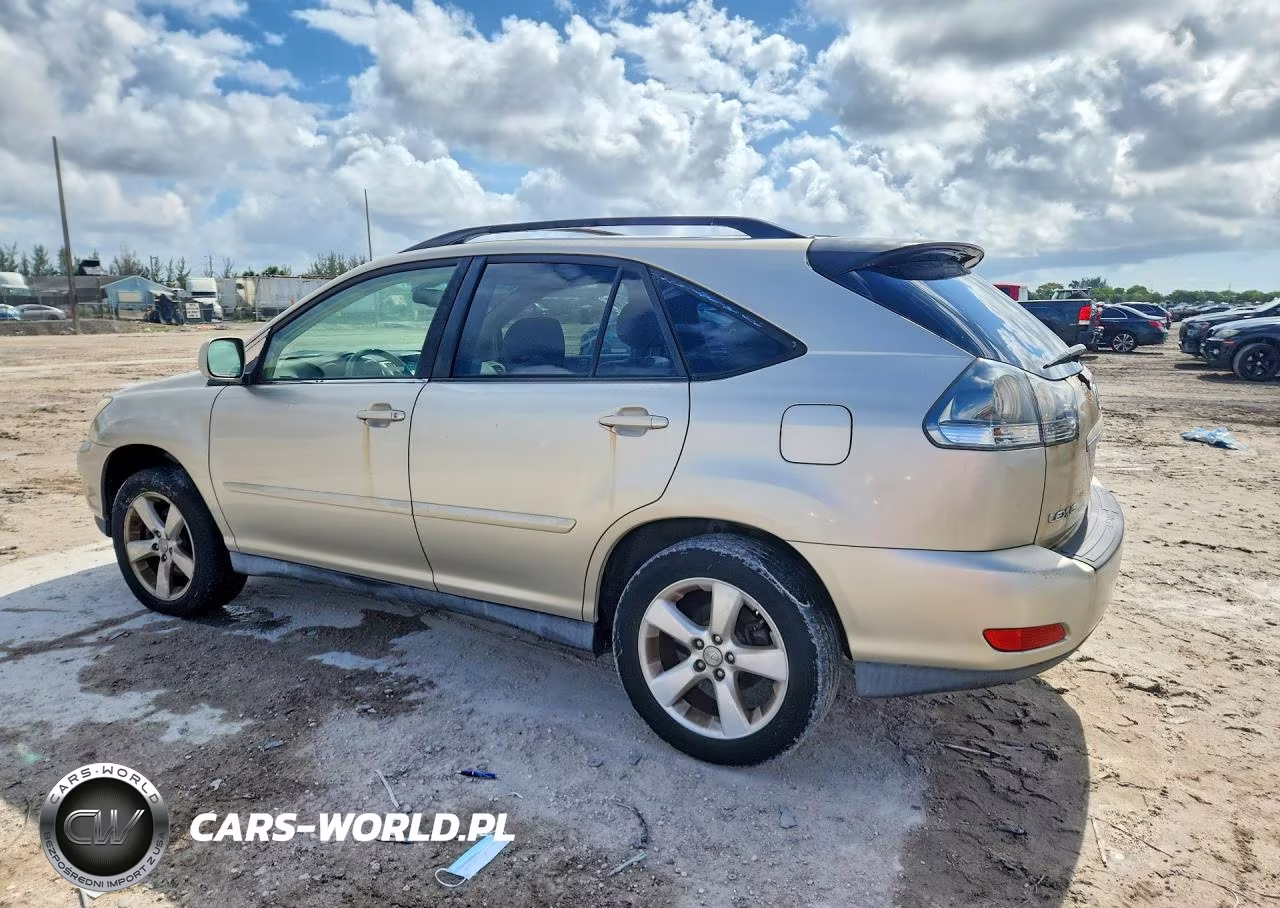 2004 Lexus Rx 330 VIN:JTJGA31U440016641 - 2