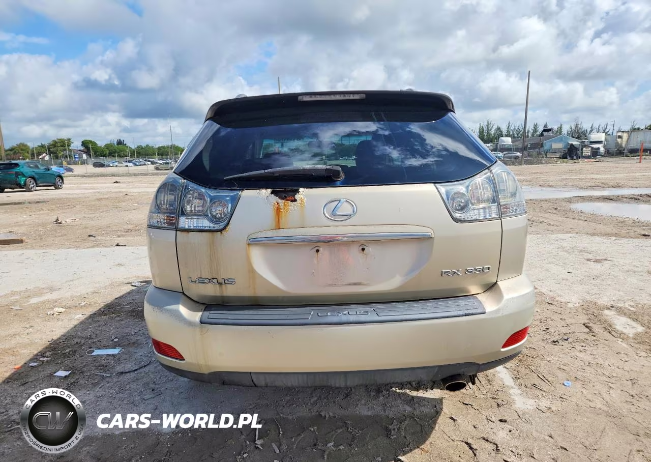 2004 Lexus Rx 330 VIN:JTJGA31U440016641 - 6