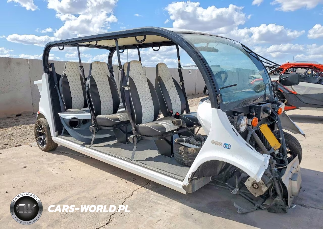 2019 Polaris Golf Cart