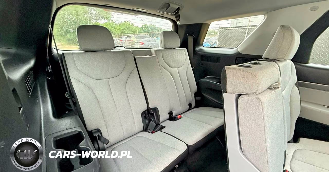 2020 Hyundai Palisade Se VIN:KM8R14HE6LU037087 - 12