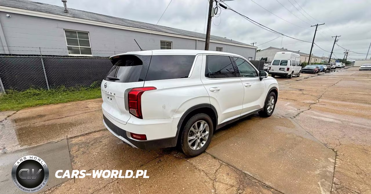 2020 Hyundai Palisade Se VIN:KM8R14HE6LU037087 - 4