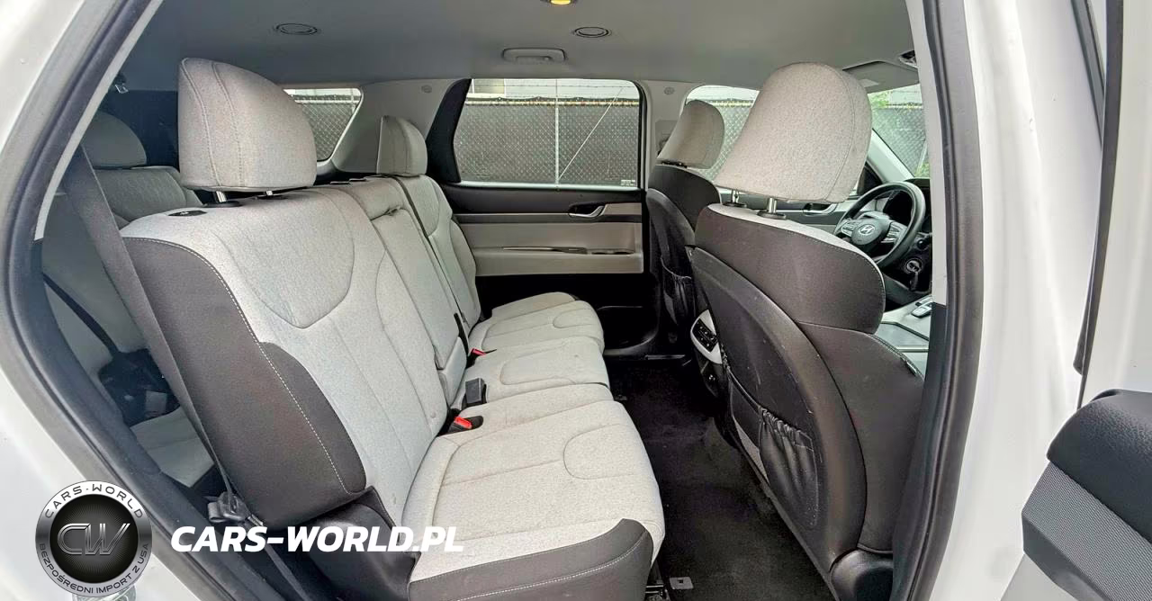 2020 Hyundai Palisade Se VIN:KM8R14HE6LU037087 - 6