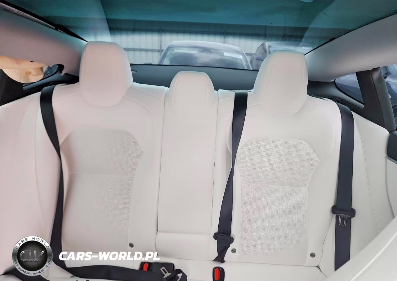 2025 Tesla Model 3 VIN:5YJ3E1ET9SF077851 - 10